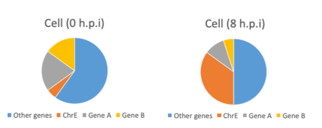 rna